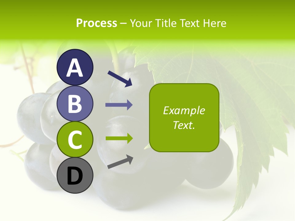 Wineyard Agriculture Close Up PowerPoint Template