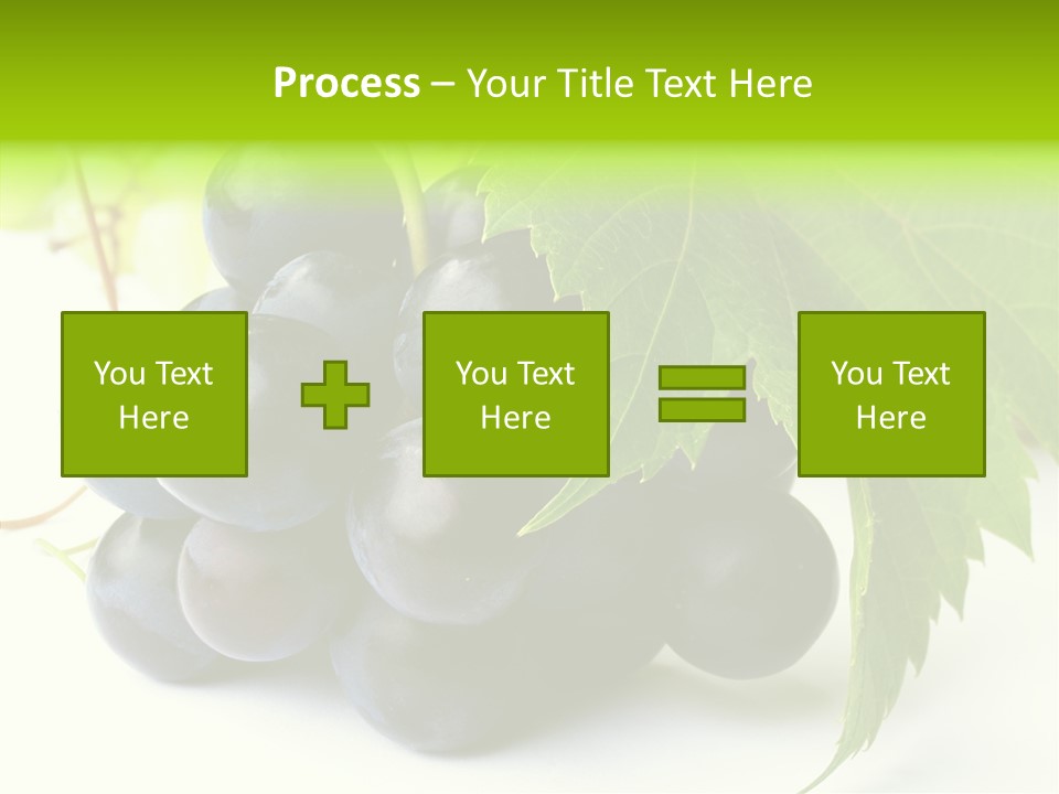 Wineyard Agriculture Close Up PowerPoint Template