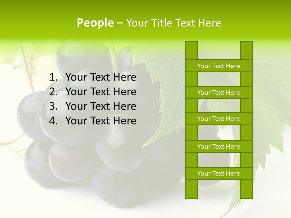 Wineyard Agriculture Close Up PowerPoint Template