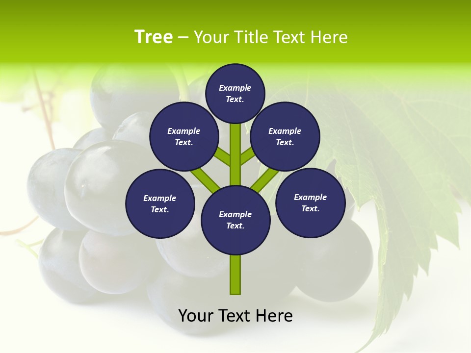 Wineyard Agriculture Close Up PowerPoint Template