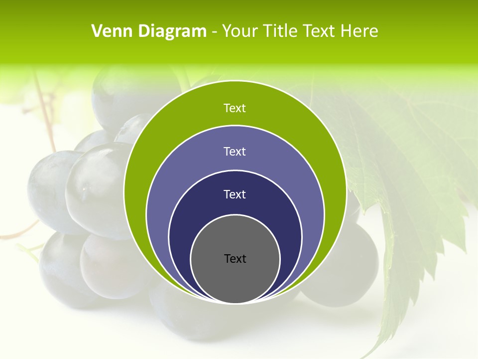 Wineyard Agriculture Close Up PowerPoint Template