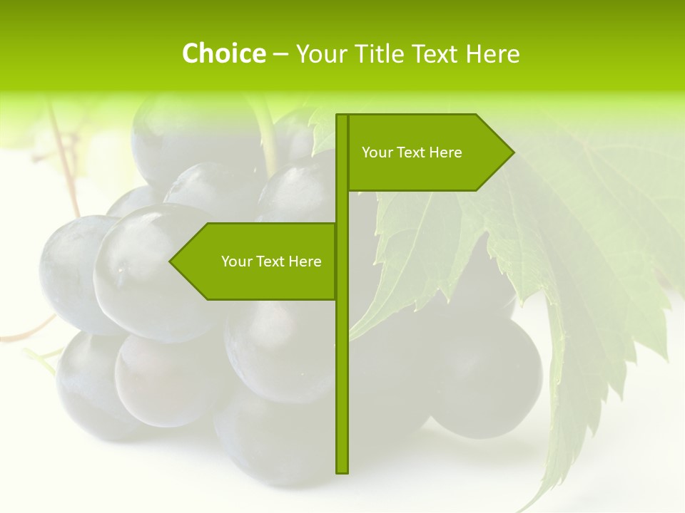 Wineyard Agriculture Close Up PowerPoint Template