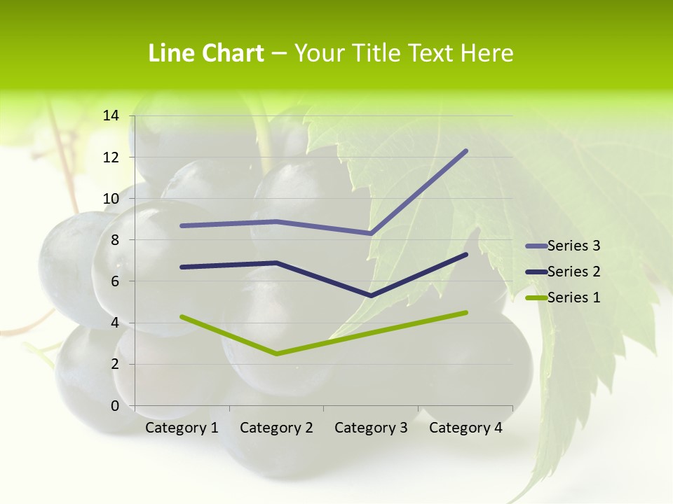 Wineyard Agriculture Close Up PowerPoint Template