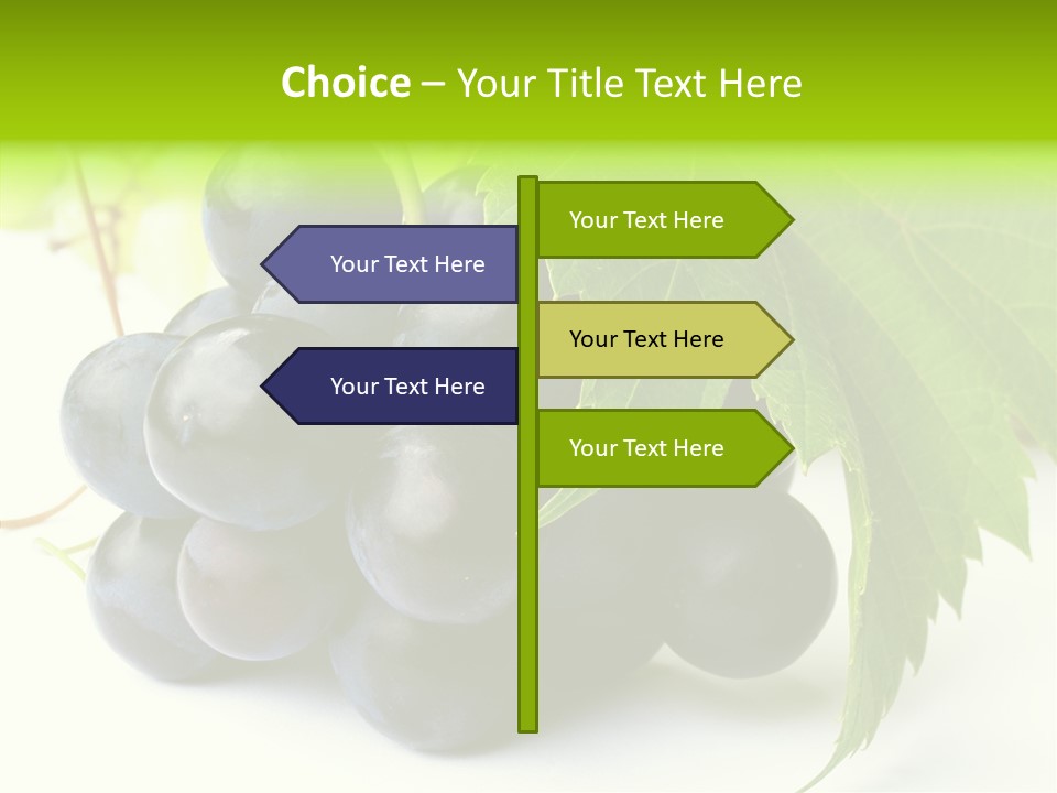 Wineyard Agriculture Close Up PowerPoint Template