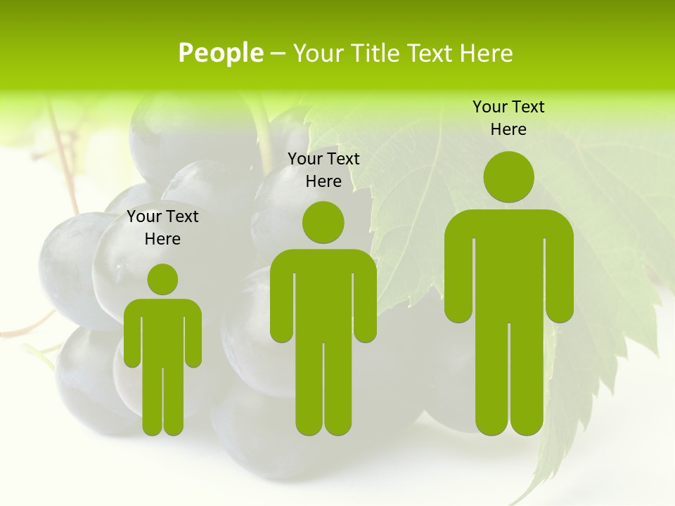 Wineyard Agriculture Close Up PowerPoint Template