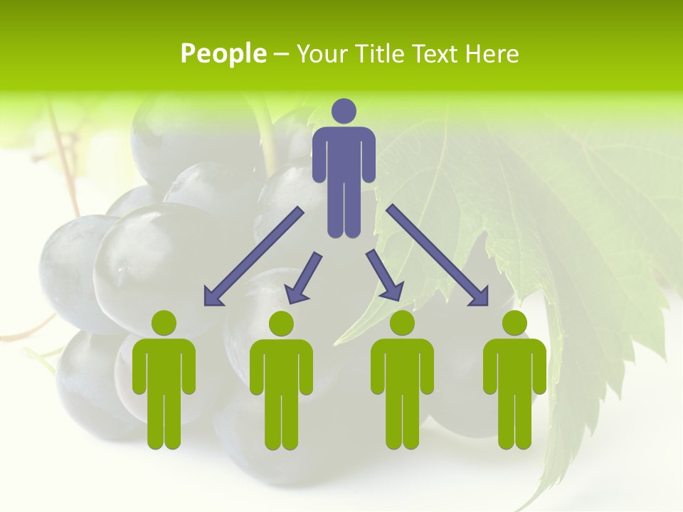 Wineyard Agriculture Close Up PowerPoint Template