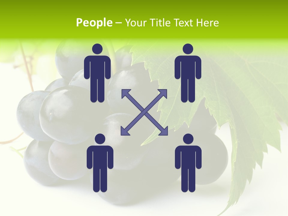 Wineyard Agriculture Close Up PowerPoint Template