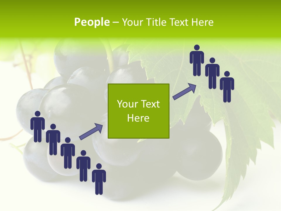 Wineyard Agriculture Close Up PowerPoint Template