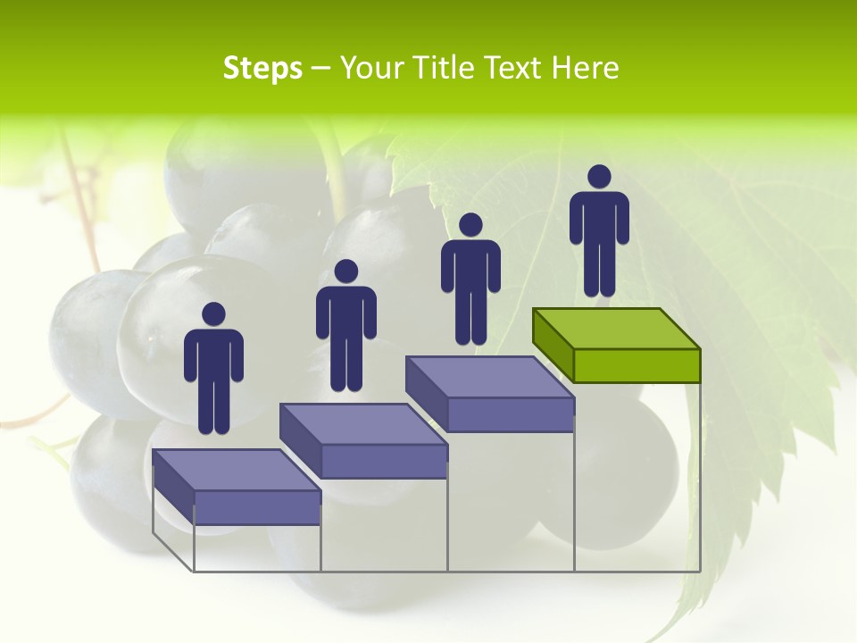 Wineyard Agriculture Close Up PowerPoint Template