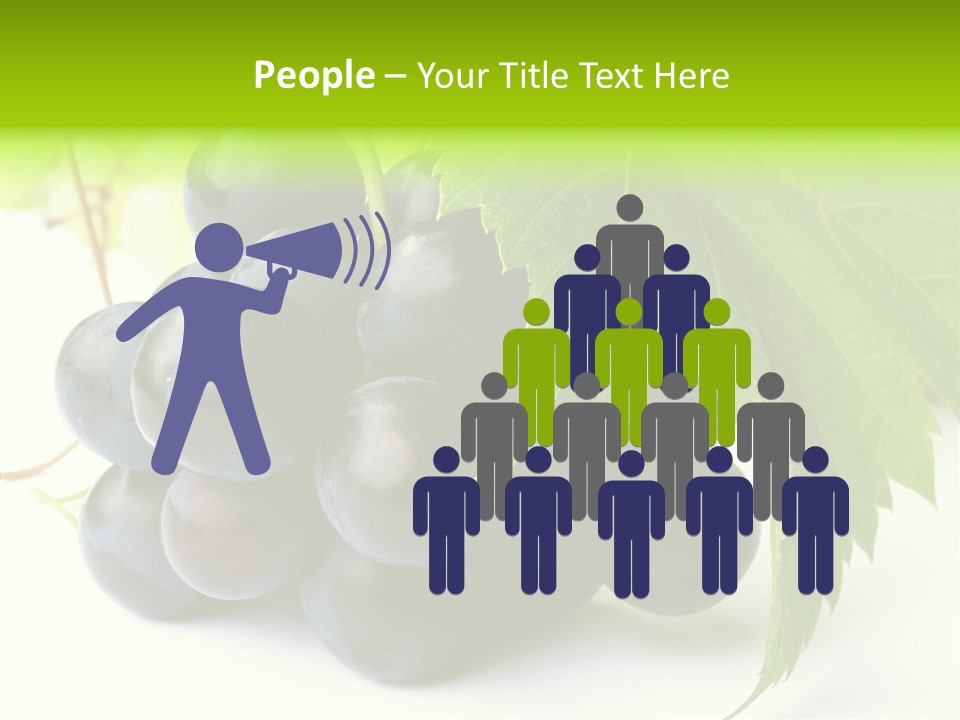 Wineyard Agriculture Close Up PowerPoint Template