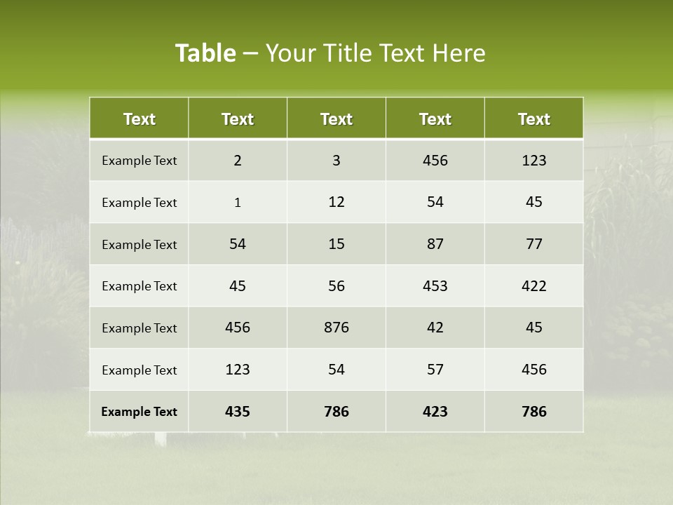 Front Coastline Yard PowerPoint Template
