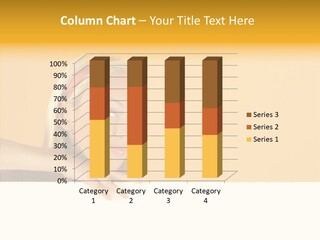 Presentation Attractive Commercial PowerPoint Template