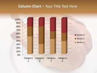 Grill Cock Dish PowerPoint Template