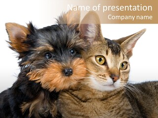 Beautiful Tiny Cute PowerPoint Template