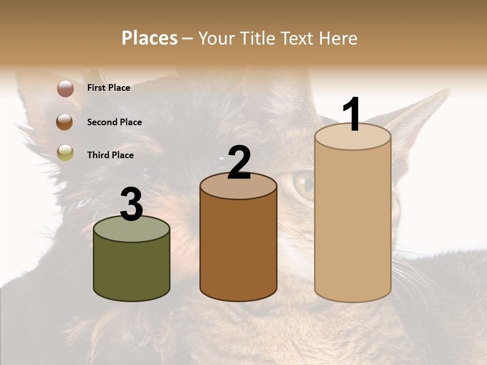 Beautiful Tiny Cute PowerPoint Template