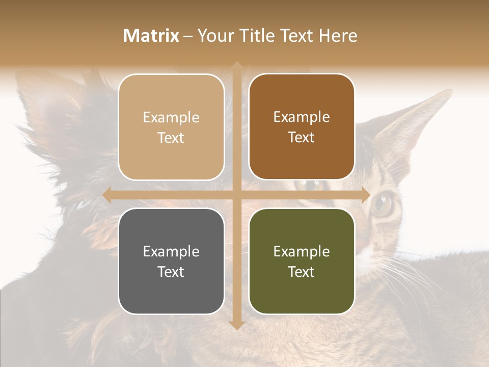 Beautiful Tiny Cute PowerPoint Template