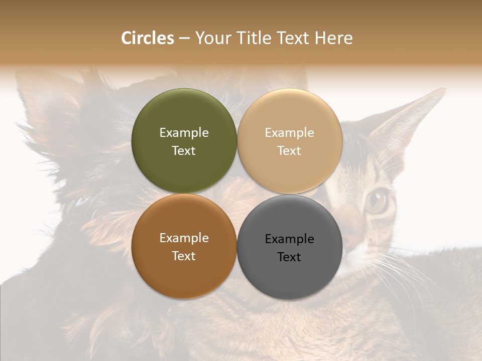 Beautiful Tiny Cute PowerPoint Template