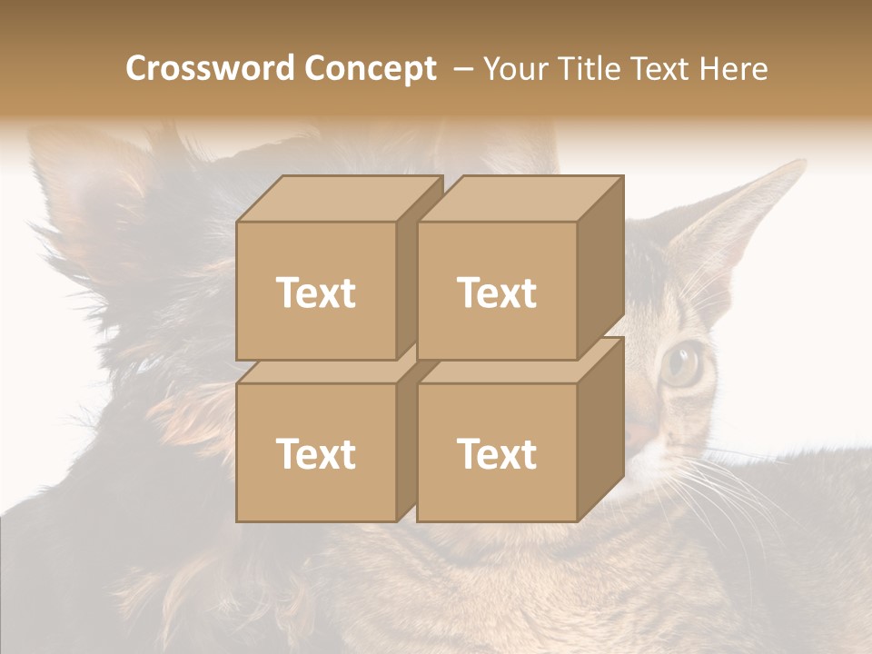 Beautiful Tiny Cute PowerPoint Template
