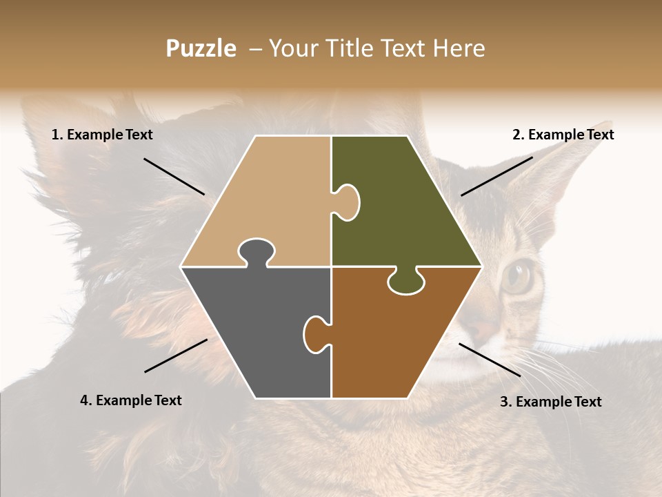 Beautiful Tiny Cute PowerPoint Template