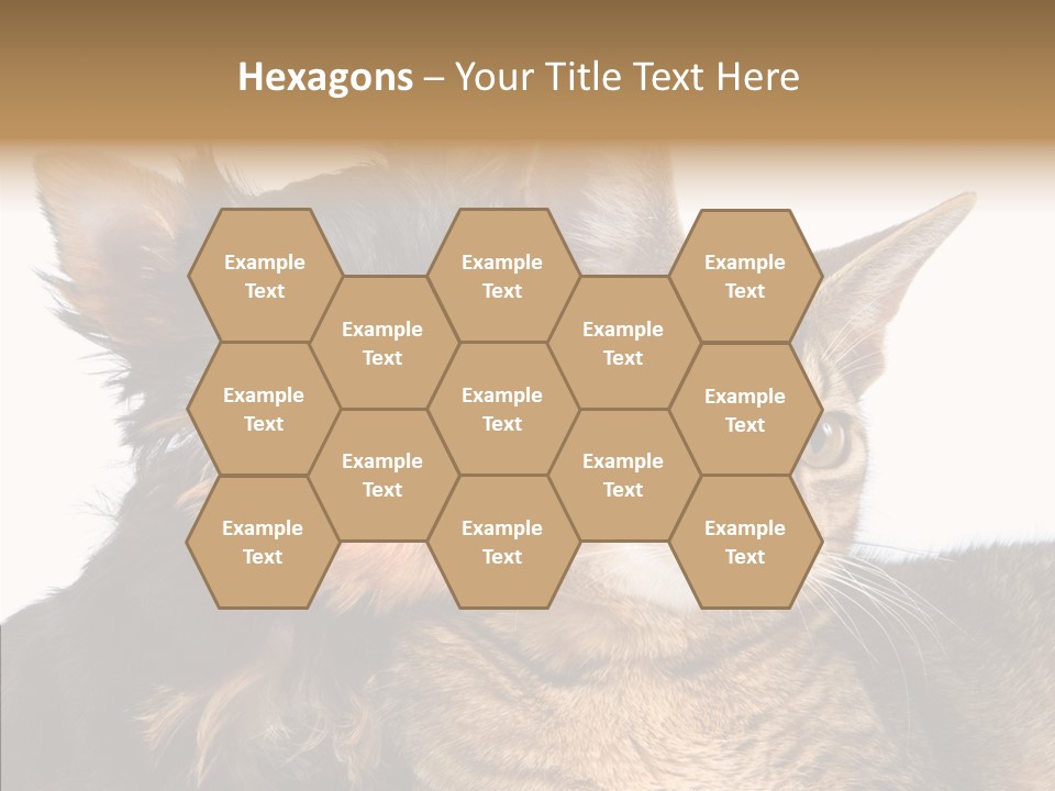 Beautiful Tiny Cute PowerPoint Template