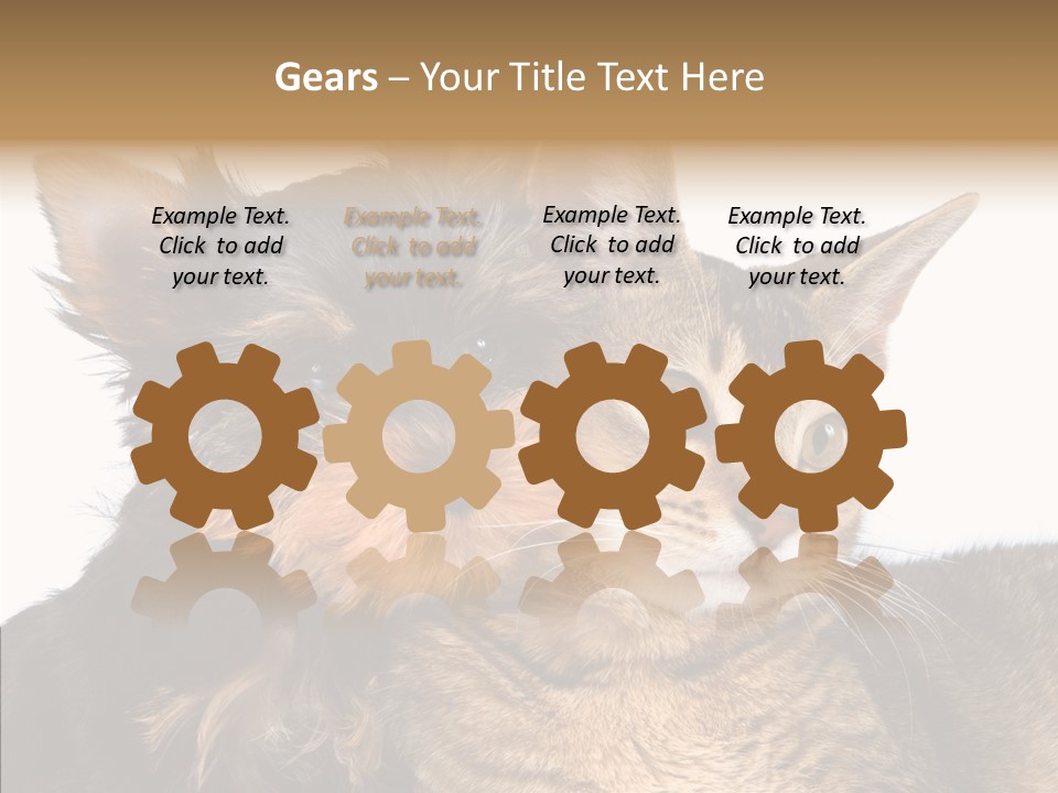 Beautiful Tiny Cute PowerPoint Template