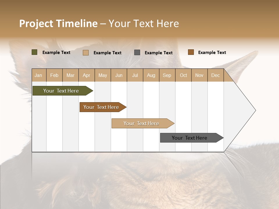 Beautiful Tiny Cute PowerPoint Template