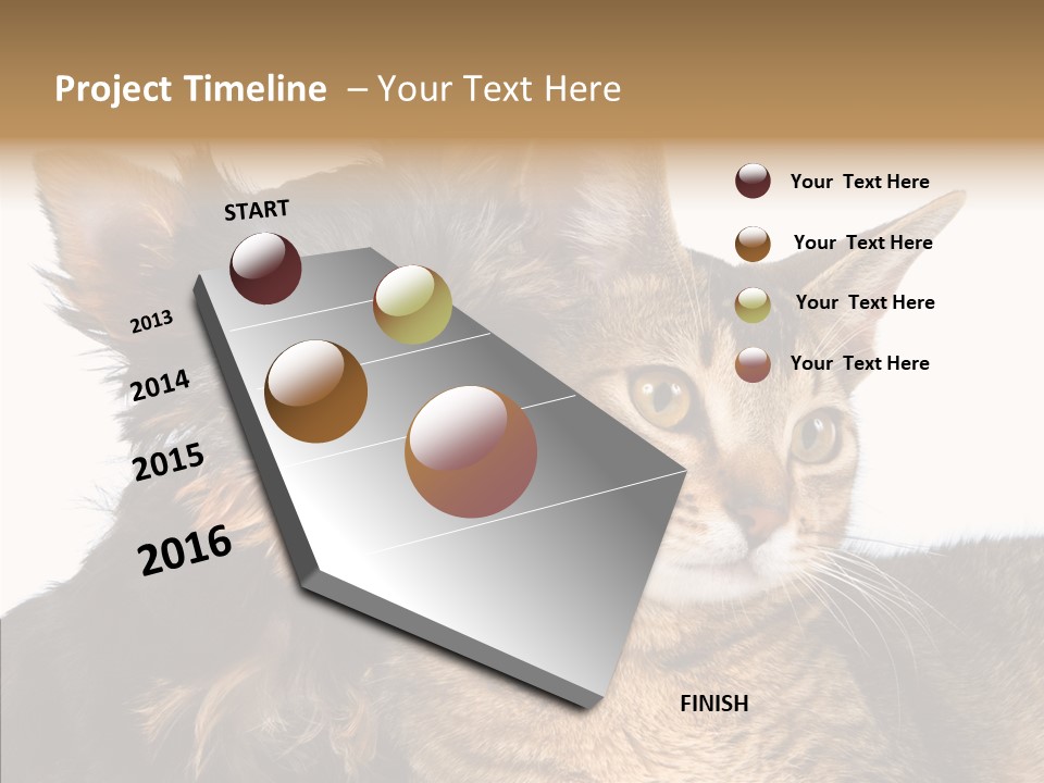 Beautiful Tiny Cute PowerPoint Template