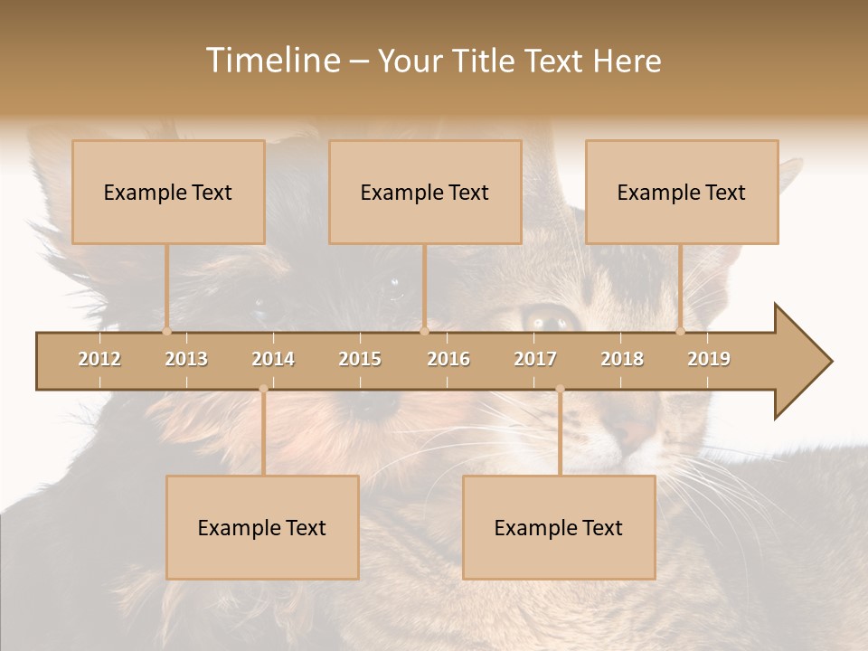 Beautiful Tiny Cute PowerPoint Template