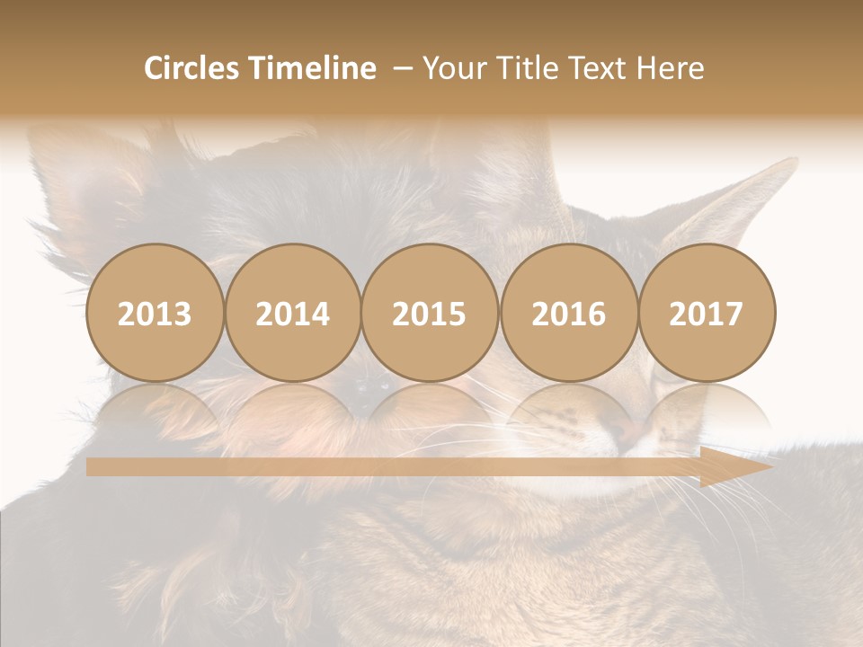 Beautiful Tiny Cute PowerPoint Template