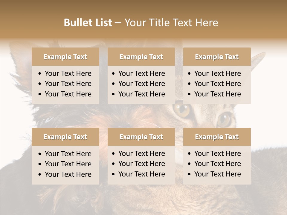 Beautiful Tiny Cute PowerPoint Template