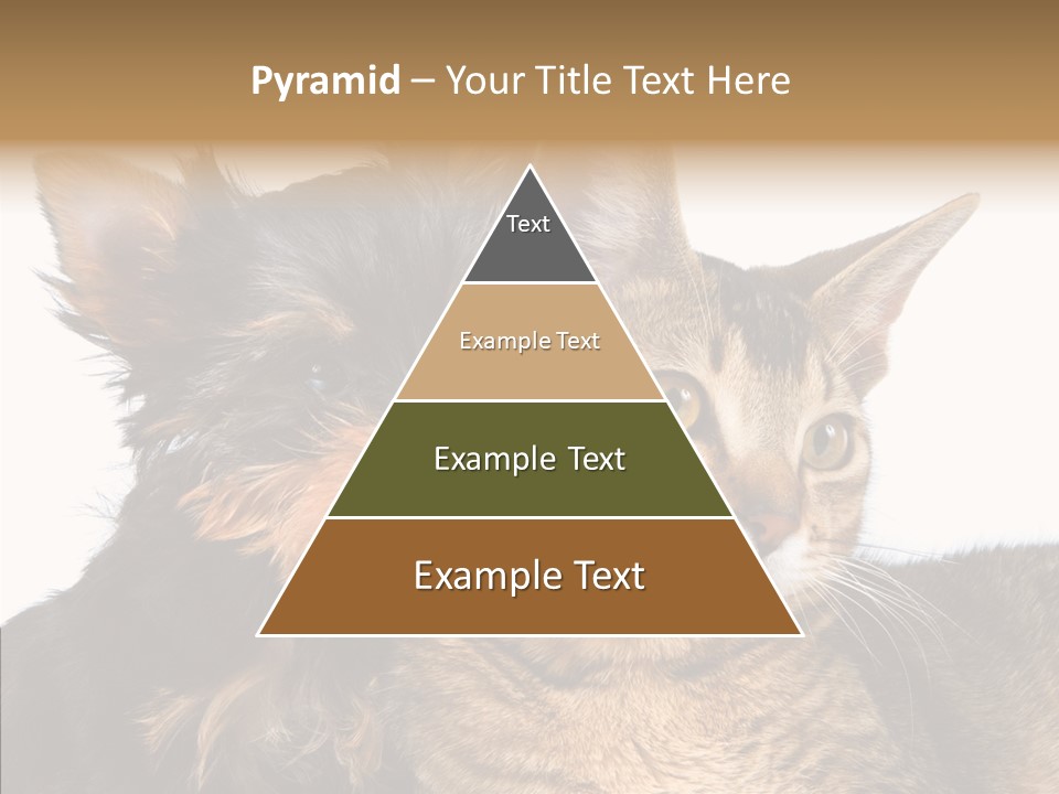 Beautiful Tiny Cute PowerPoint Template