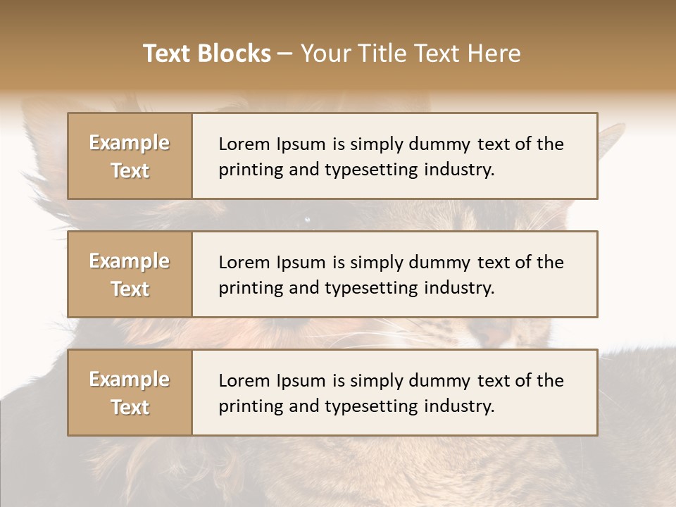 Beautiful Tiny Cute PowerPoint Template