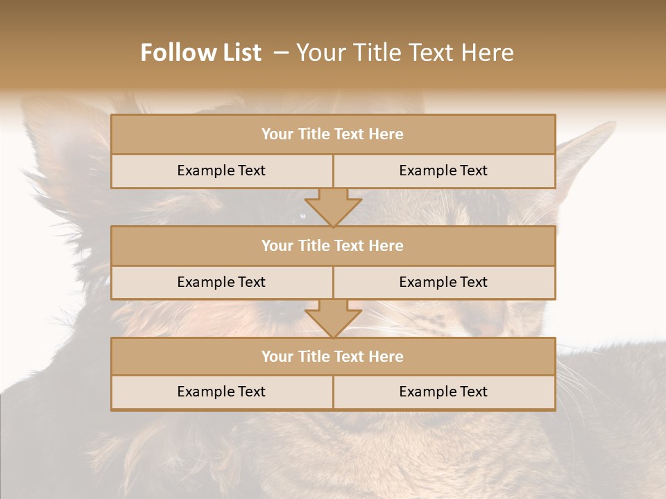 Beautiful Tiny Cute PowerPoint Template