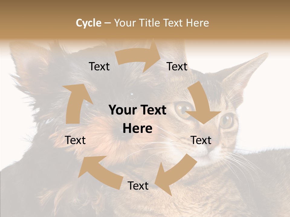 Beautiful Tiny Cute PowerPoint Template