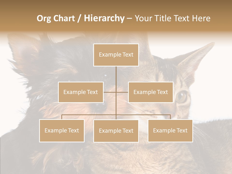 Beautiful Tiny Cute PowerPoint Template