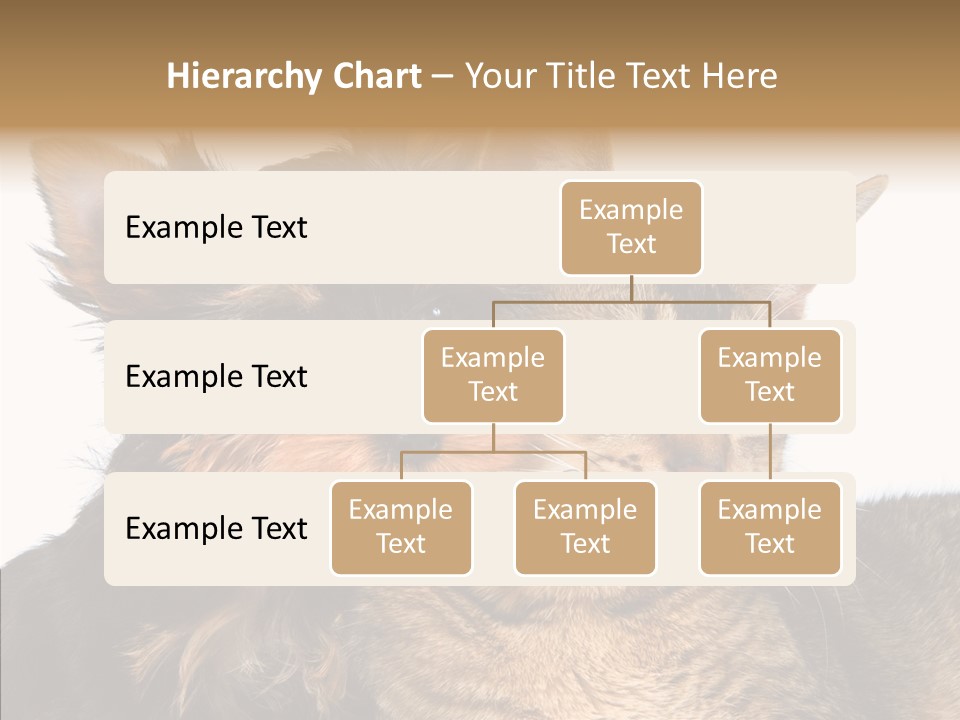Beautiful Tiny Cute PowerPoint Template