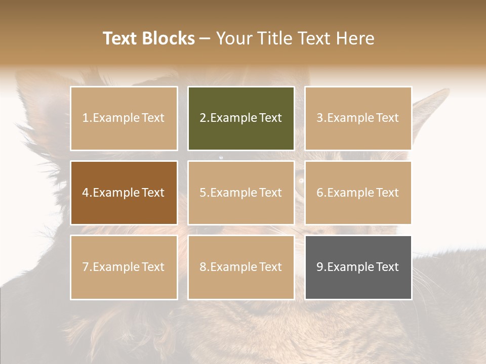 Beautiful Tiny Cute PowerPoint Template