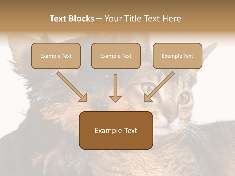 Beautiful Tiny Cute PowerPoint Template