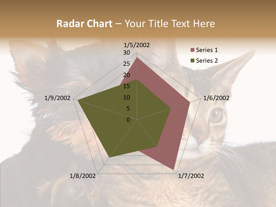 Beautiful Tiny Cute PowerPoint Template