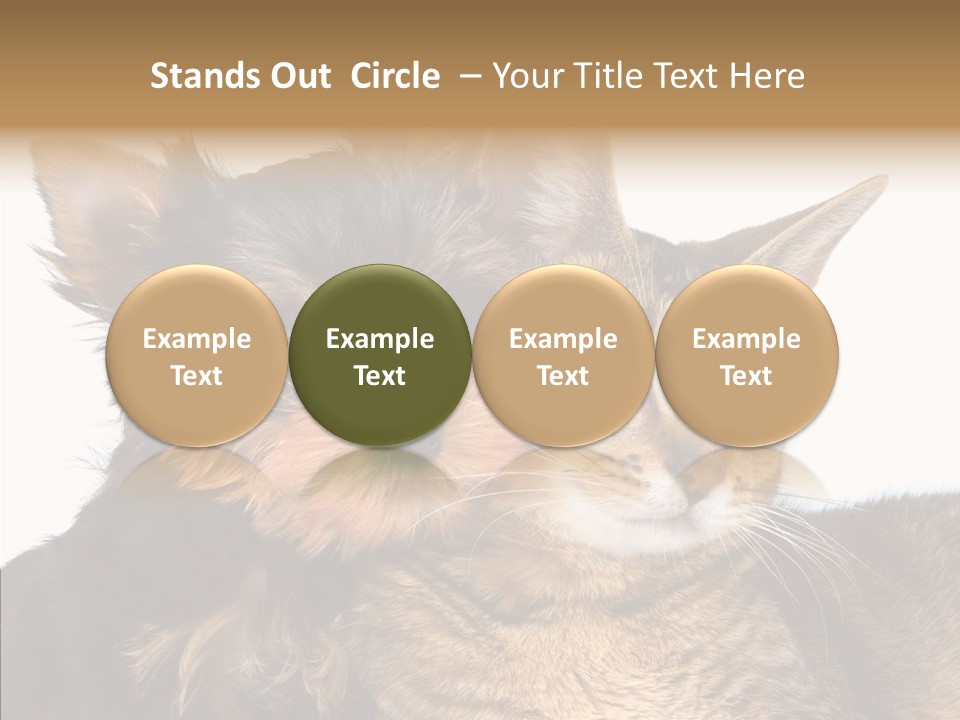 Beautiful Tiny Cute PowerPoint Template