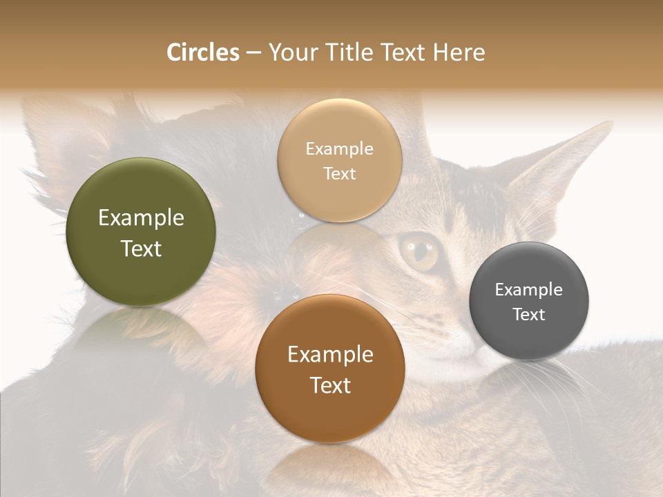 Beautiful Tiny Cute PowerPoint Template