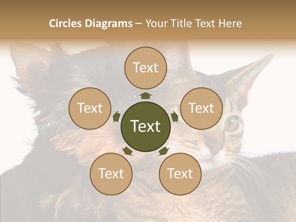 Beautiful Tiny Cute PowerPoint Template