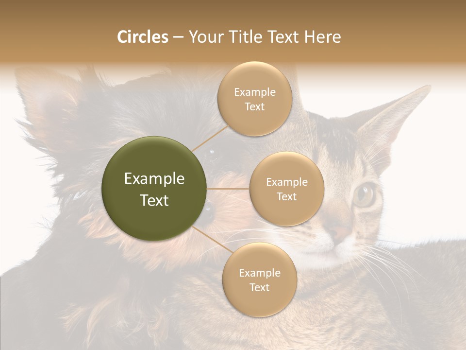 Beautiful Tiny Cute PowerPoint Template