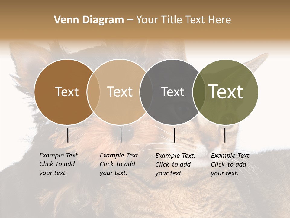 Beautiful Tiny Cute PowerPoint Template