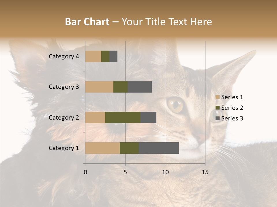 Beautiful Tiny Cute PowerPoint Template