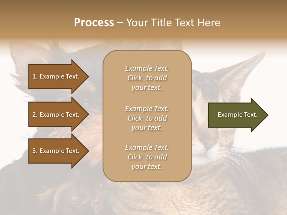 Beautiful Tiny Cute PowerPoint Template
