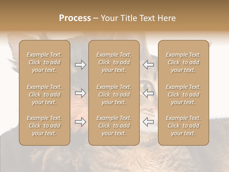 Beautiful Tiny Cute PowerPoint Template