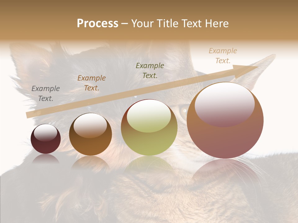 Beautiful Tiny Cute PowerPoint Template