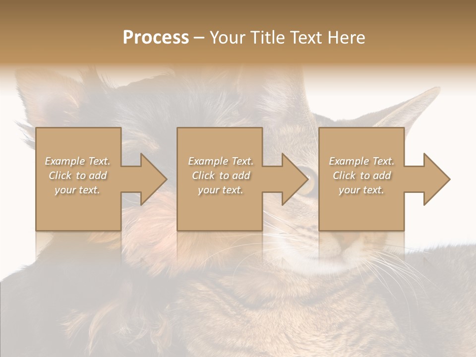 Beautiful Tiny Cute PowerPoint Template