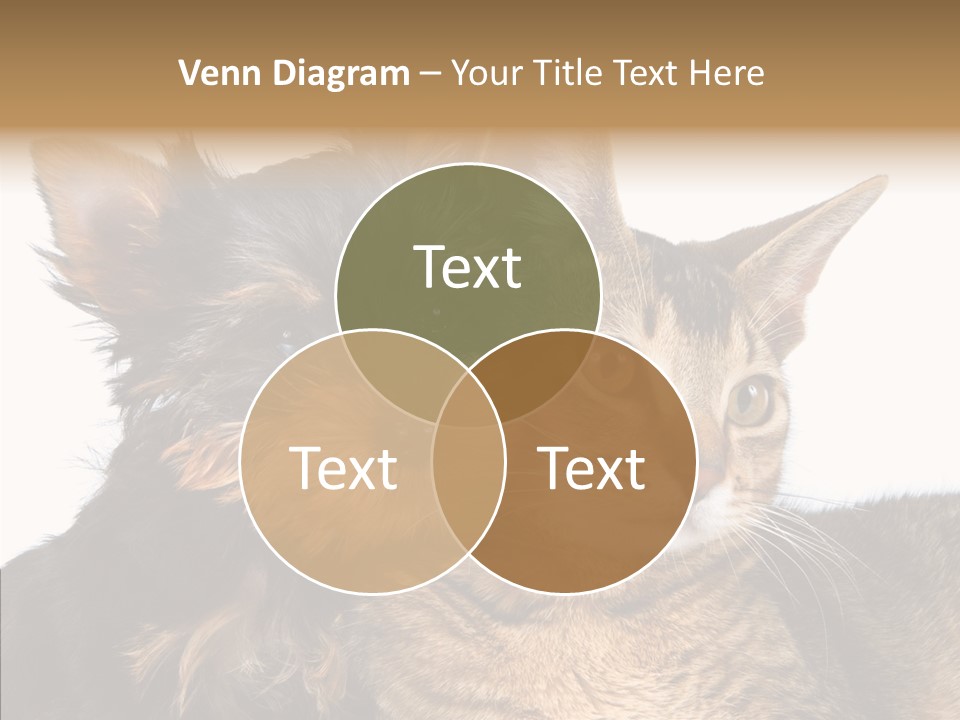 Beautiful Tiny Cute PowerPoint Template